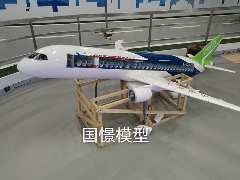 华阴市飞机模型