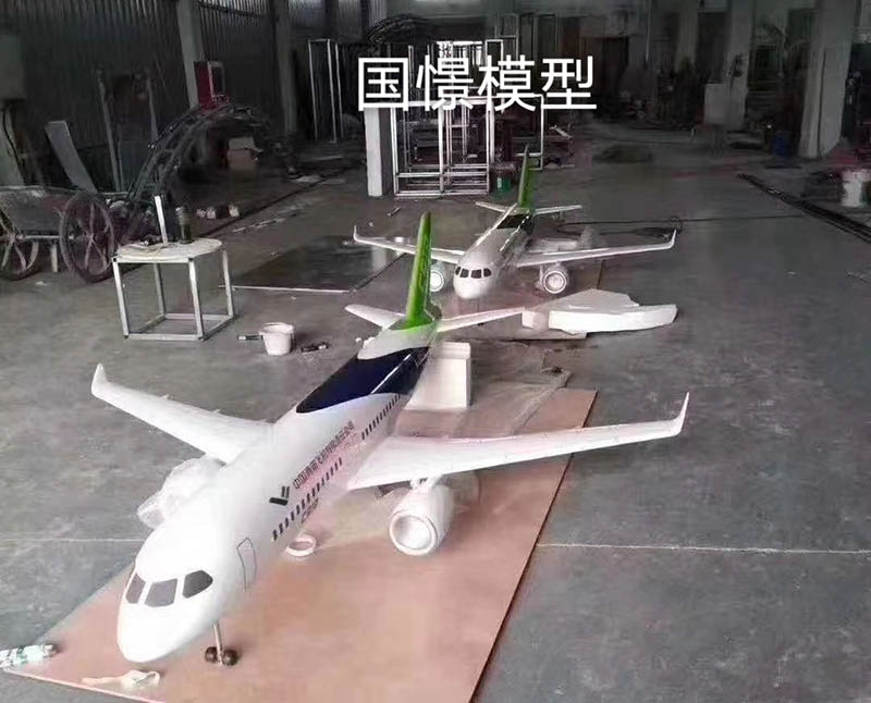 华阴市飞机模型