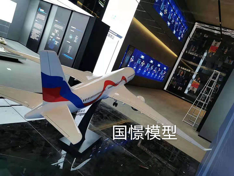 华阴市飞机模型