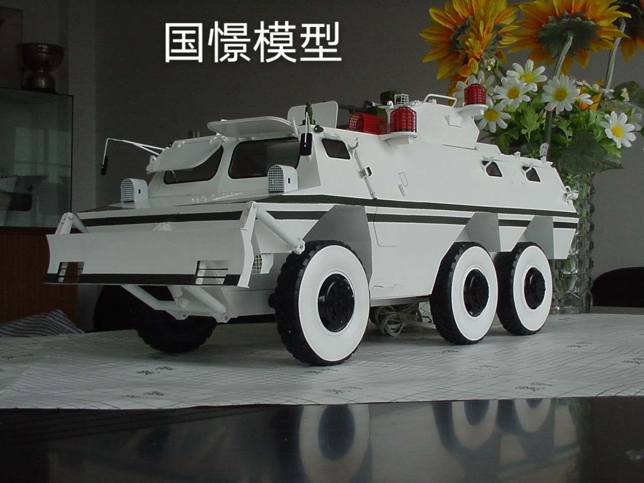 华阴市军事模型
